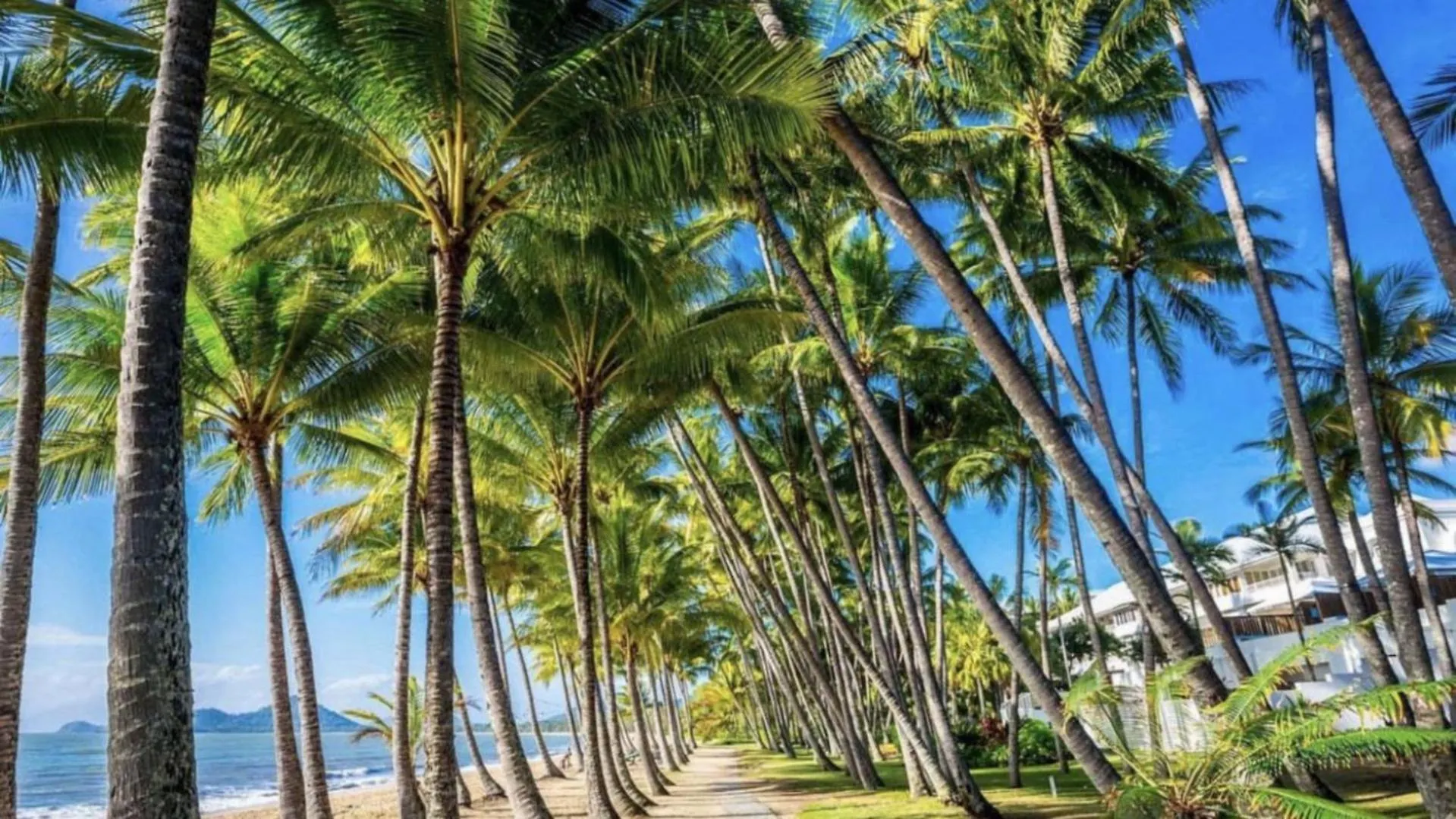 Coconut And Lime - Palm Cove Villa 0*,  Australia